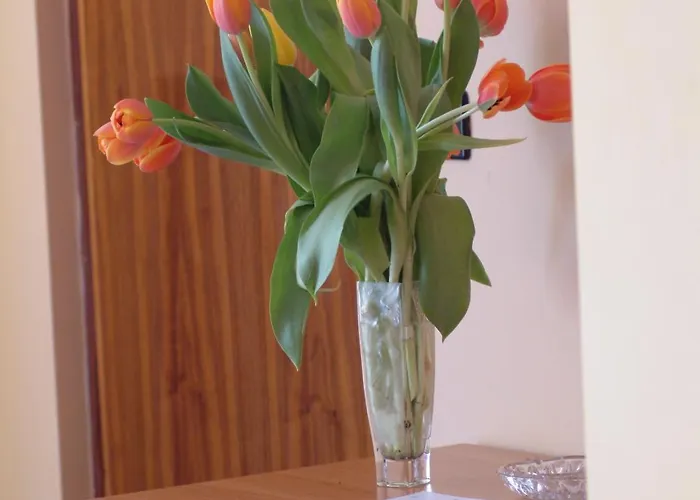 San Geminiano Hotel 2*