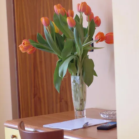 San Geminiano Hotel 2*