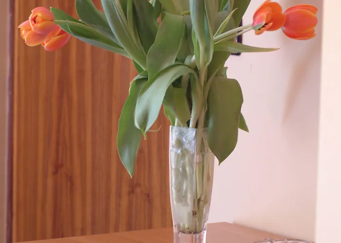 San Geminiano Hotel Modena